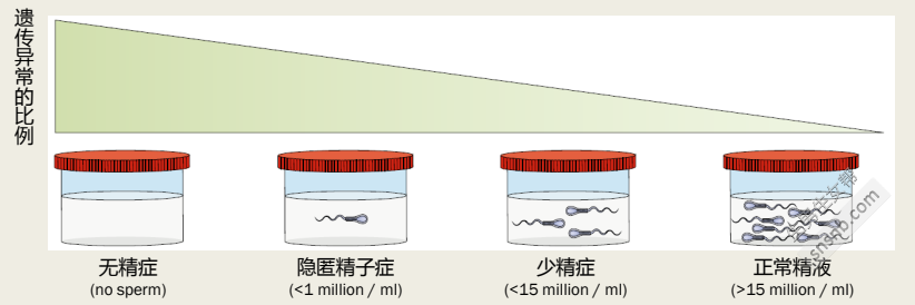 [正常精子常规参考表]精子质量差会影响下一代吗？