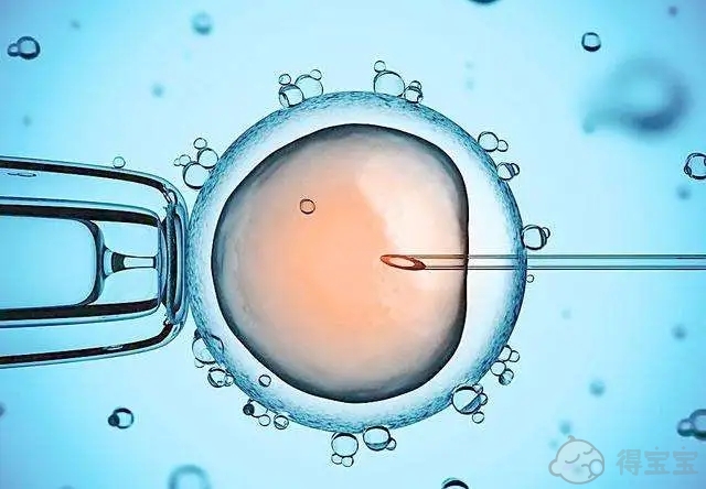 IVF-Fehlerrate