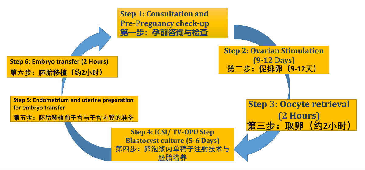 在广州医院做试管排名：解释：泰国试管婴儿实现良好怀孕率的三个先决条件。